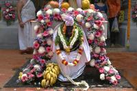 Rathotsava